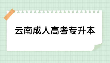 2021年云南成人高考专升本报考条件?