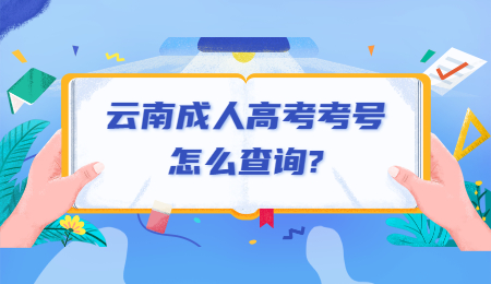 云南成人高考考号怎么查询?