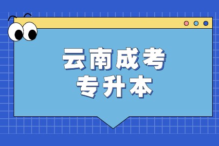 云南成考专升本