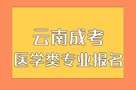 云南成考医学类专业报名