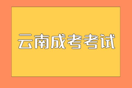 云南成考考试