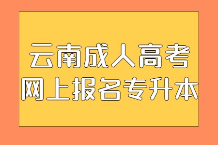 云南成人高考网上报名专升本