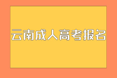 云南成人高考报名