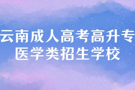 云南成人高考高升专医学类招生学校