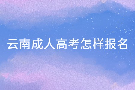 云南成人高考怎样报名