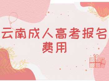 云南成人高考
