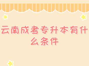 云南成考专升本