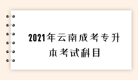 云南成考专升本