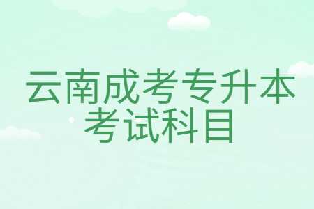 云南成考专升本