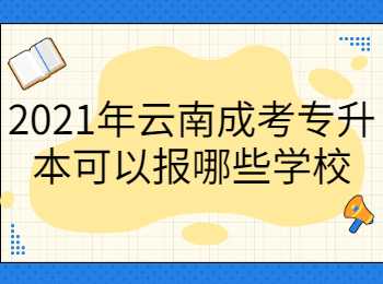 云南成考专升本