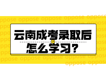 云南成考录取后怎么学习?