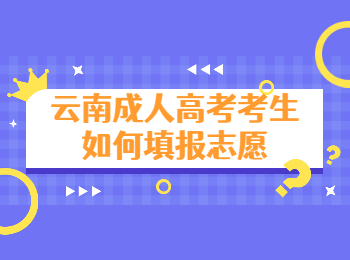 云南成考 云南成考填报志愿