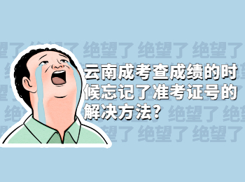 云南成考 云南成考准考证号  