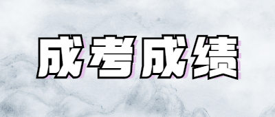 保山成人高考成绩查询