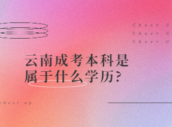 云南成考网 云南成考本科学历