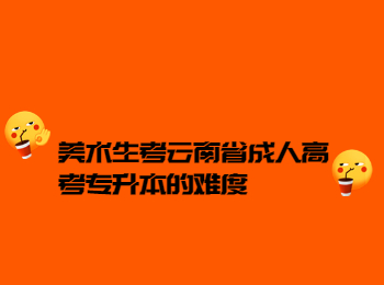 美术生考云南辛苦专升本的难度
