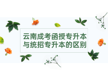 云南成考函授专升本与统招专升本