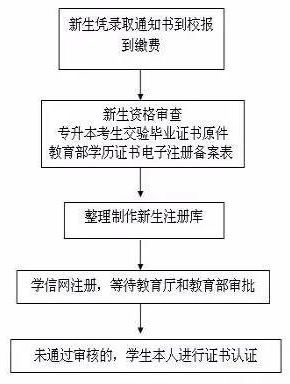 云南省成考学籍