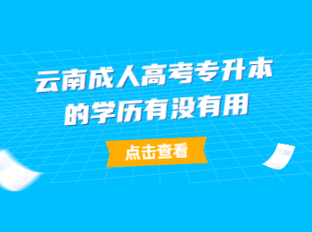云南成考专升本学历