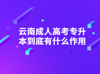 云南成教 云南成人高考专升本