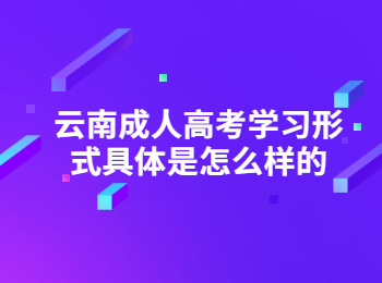 云南成考 云南成人高考学习形式