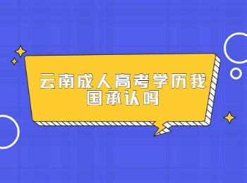 云南成人高考学历