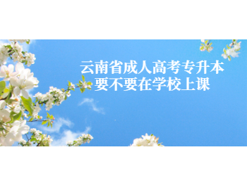 云南省成考专升本上课