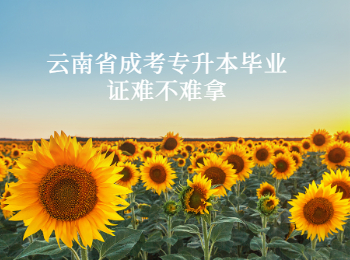 云南省成考专升本毕业证