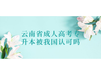 云南省成人高考专升本