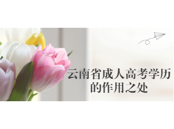 云南省成人高考学历