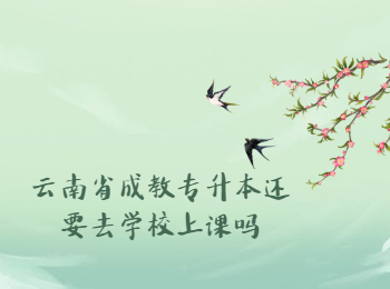 云南省成教 云南省成教专升本