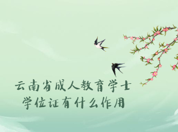 云南省成人教育学士学位证