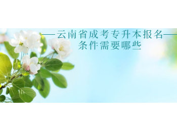 云南省成考专升本报名条件