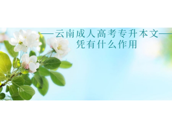 云南成人高考专升本文凭