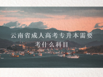 云南省成人高考专升本科目