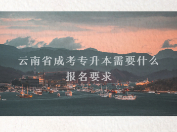云南省成考专升本报名要求