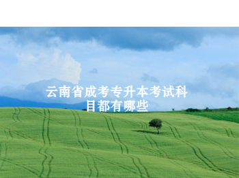 云南省成考专升本考试科目
