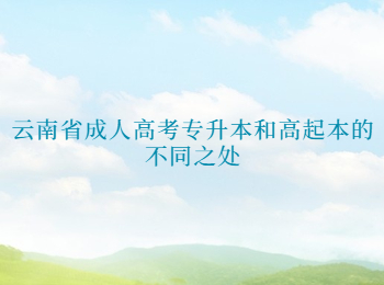 云南成考网 云南省成人高考