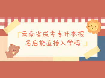 云南省成考专升本报名