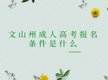 文山州成人高考报名条件