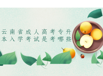 云南省成人高考专升本入学考试
