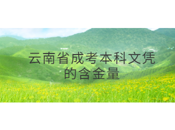 云南省成考本科文凭