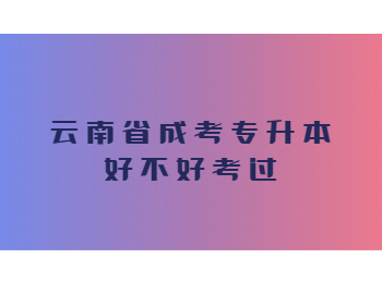 云南省成考专升本 云南成考