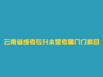 云南成考 云南省成考专升本