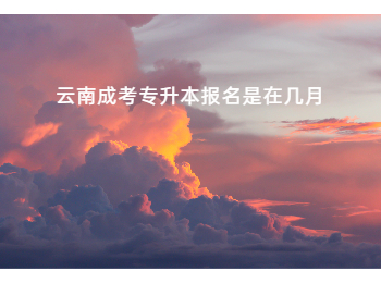 云南成考专升本报名