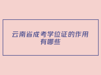 云南省成考学位证