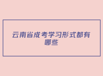 云南省成考学习形式