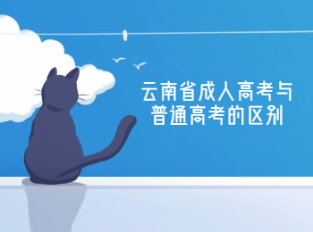 云南省成人高考