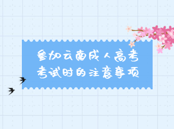 云南成人高考考试 