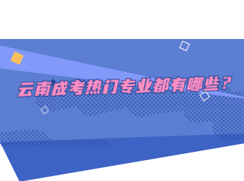 云南成考热门专业